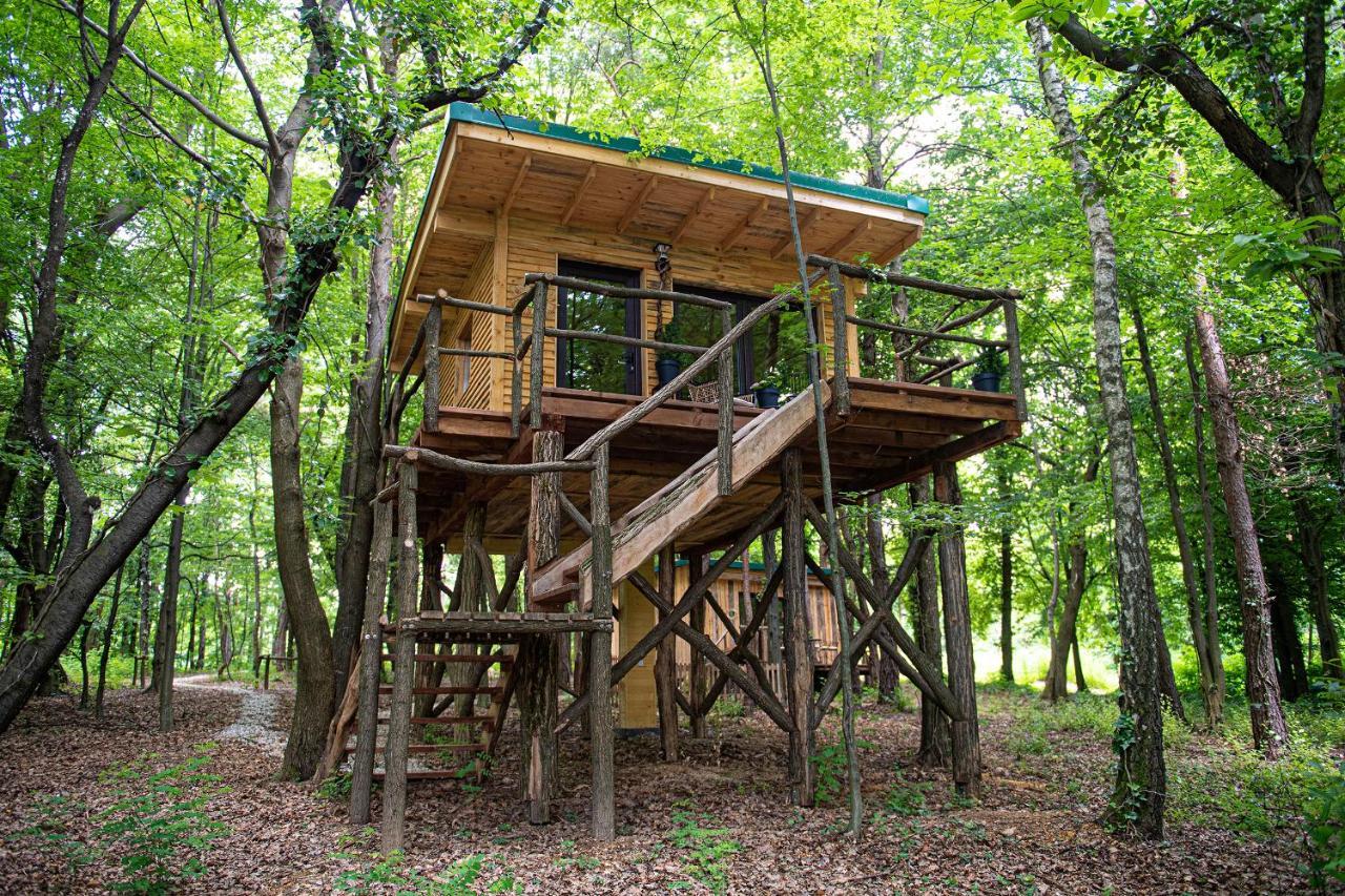 Living Forest Resort Моравске-Топлице Экстерьер фото