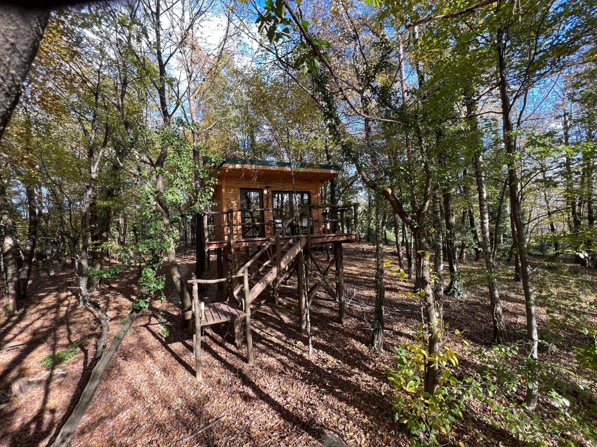 Living Forest Resort Моравске-Топлице Номер фото