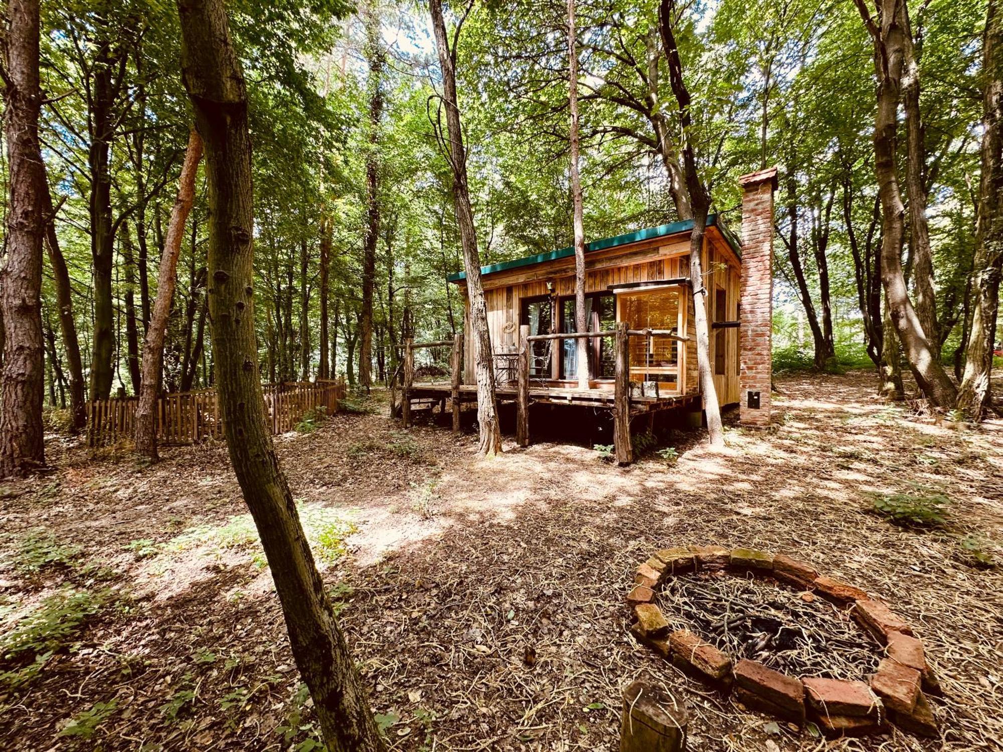 Living Forest Resort Моравске-Топлице Экстерьер фото