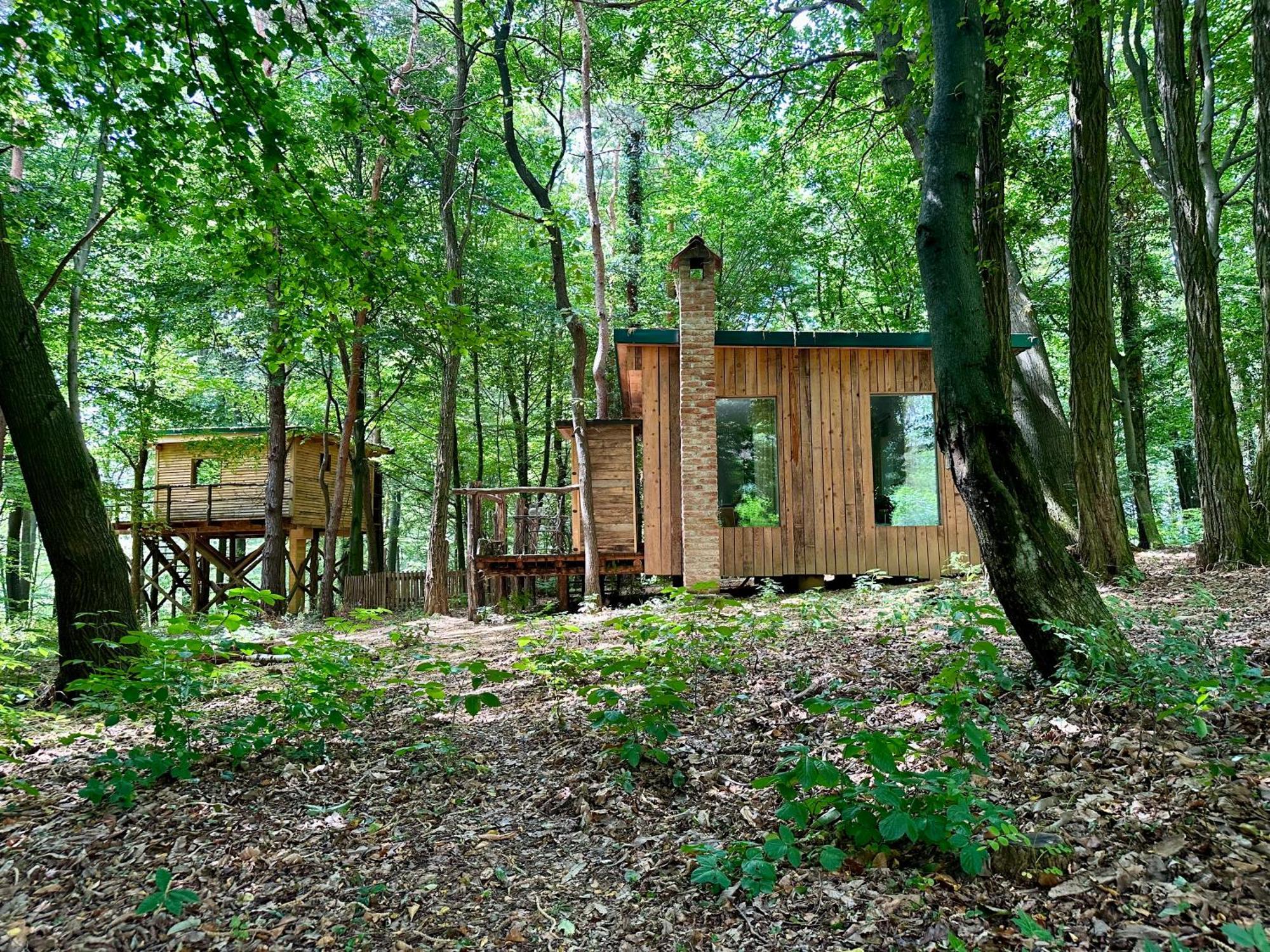 Living Forest Resort Моравске-Топлице Экстерьер фото